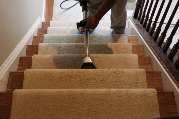 carpet care, carpet cleaning
